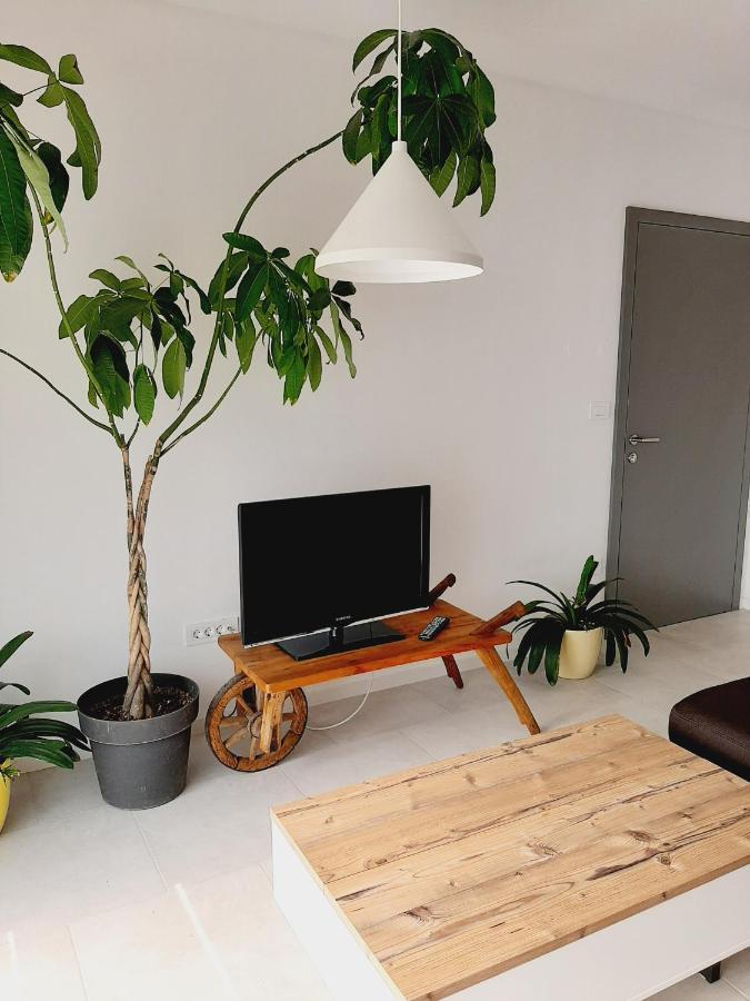 Green Bee Apartment ليسْتْسي المظهر الخارجي الصورة